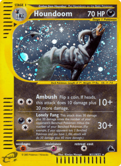 Houndoom Holo - Skyridge