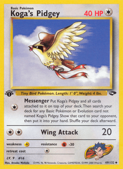 Koga's Pidgey 1st Edition - Gym Challenge