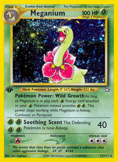 Meganium 1st Edition Holo - Neo Genesis