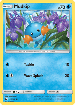 Mudkip Normal - Celestial Storm
