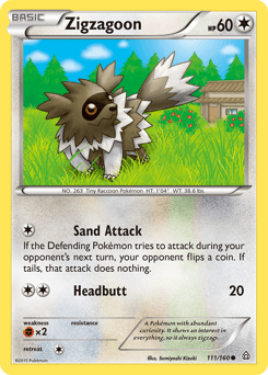 Zigzagoon Normal - Primal Clash