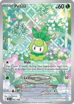 Petilil Normal - Black Bolt